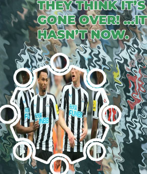 Now goal net
